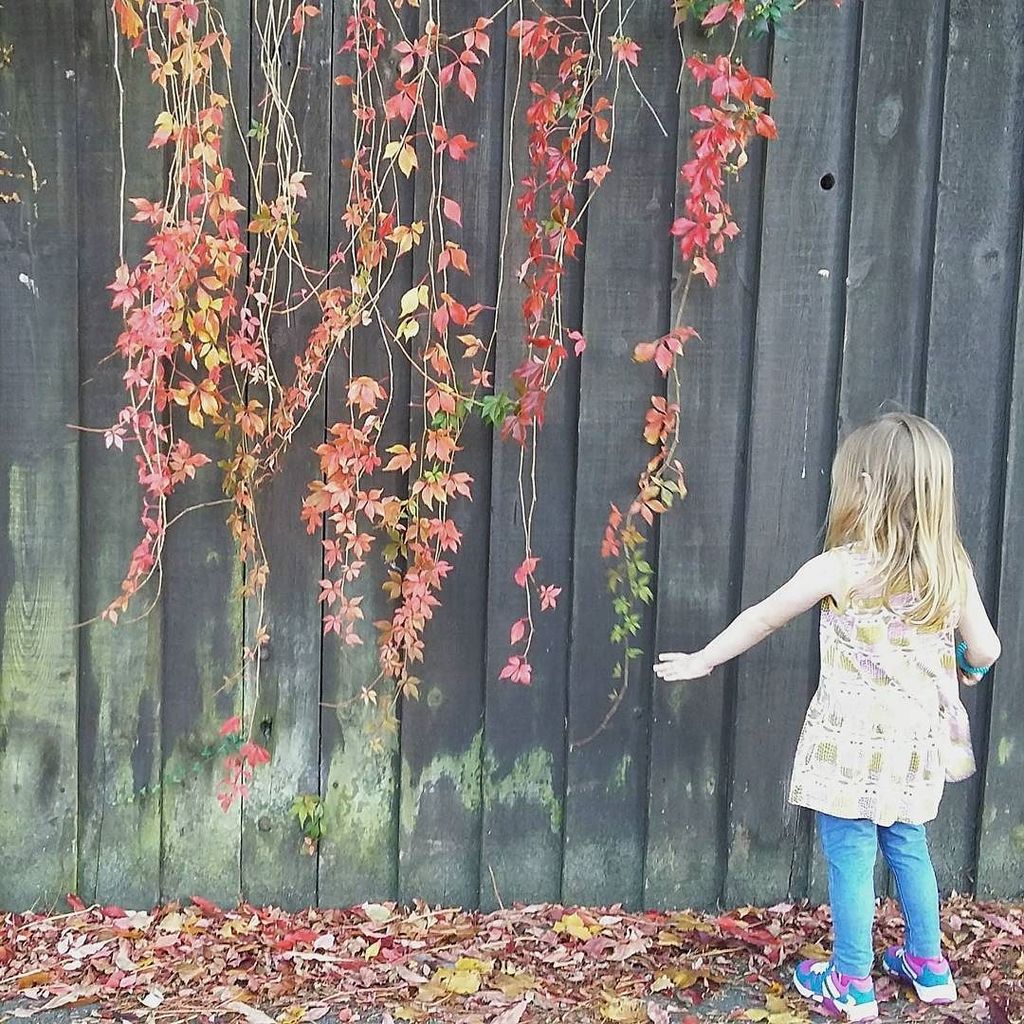 RedHenJewellery's tweet photo. Hooray! It's almost half-term, looking forward to spending time with the Little Chick 🍁❤ #thisautumnlife https://t.co/R1FTAaBYtR https://t.co/mBosQsSpvm