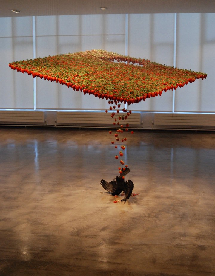 meldcc's tweet photo. #ClaireMorgan #sculpturalinstallation #taxidermy #nature #art #climatechange #OptOutside #ActOnClimate @ClaireMorganStu https://t.co/dpRFCrZhuN