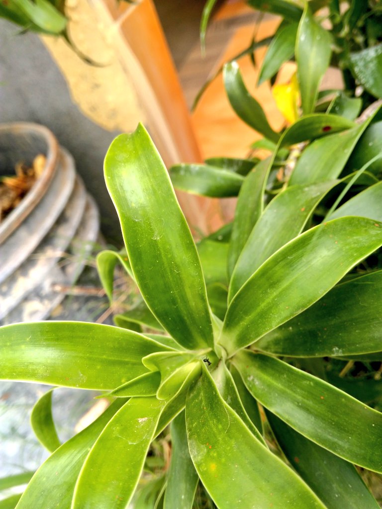 saraswatisahoo4's tweet photo. ##Homeclick
##photojournalism https://t.co/tTZqgqNVb0
