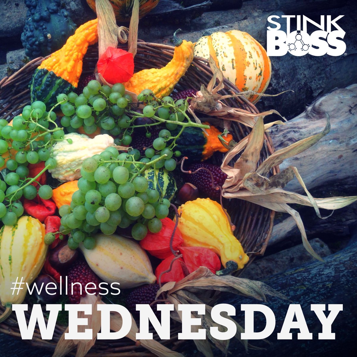 StinkBOSS's tweet photo. Celebrate a #healthy harvest with fresh, seasonal fruits &amp; veggies. Apples, carrots, butternut squash &amp; pumpkins! #WellnessWednesday https://t.co/9QHDfMzzpE