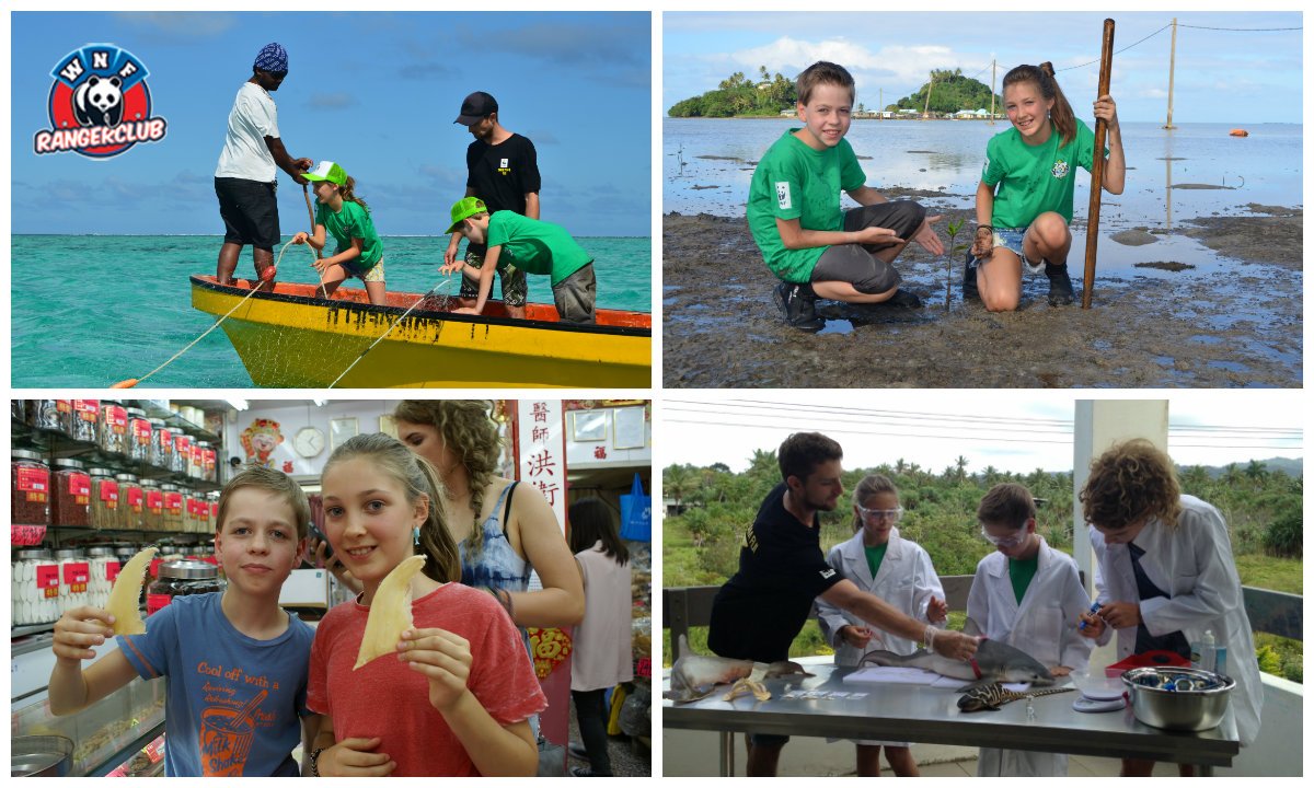 Tip: de ZYP Haai-alarm expeditie naar Fiji is volgende week te zien op tv! 23 t/m 26 okt. 18.40 uur en zat.  28 oktober om 14.30 uur.