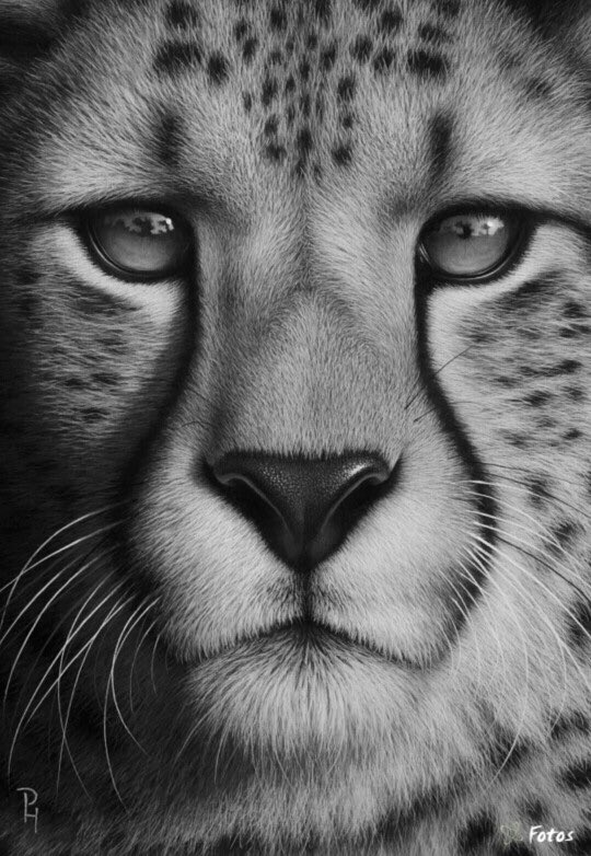 CoachdjCheetah's tweet photo. Playing DB allows you to establish your own reputation. People will recognize you as either an asset or liability. Accept the role! #Ap2w https://t.co/g0Q2nCYZpg