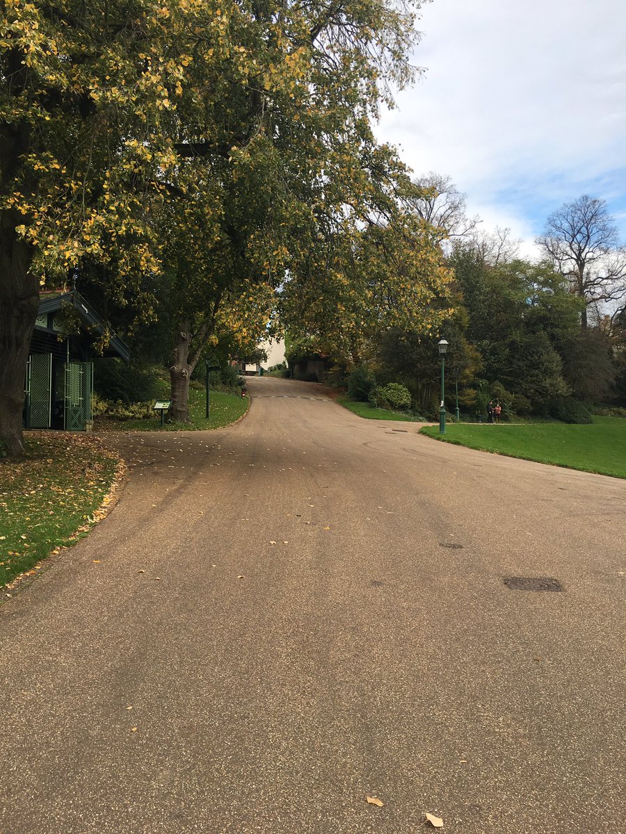 F2_Clueless's tweet photo. We have called upon the UClan athletics team to get us in full fitness for Fridays treasure hunt #Uclan4wc #hillsprints https://t.co/HAMXNK54pt