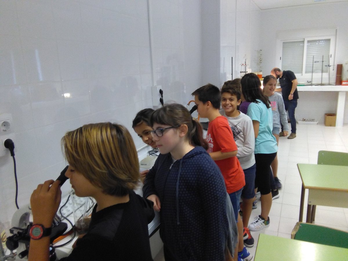 cide1966's tweet photo. A 6èA d'EP han observat teixits de cèl·lules vives,protozous,paramecis...en una activitat dirigida pels alumnes de secundària al laboratori. https://t.co/7AmrxRDsDe