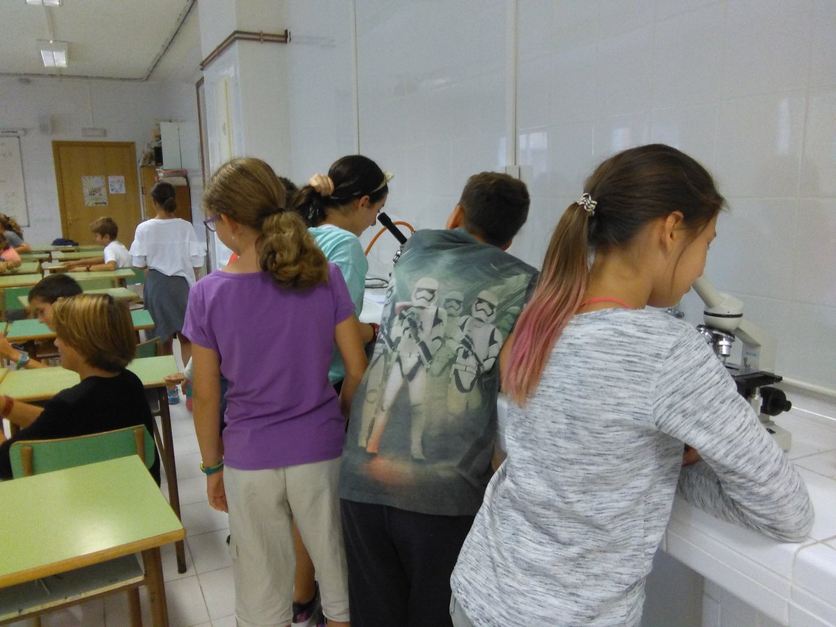 cide1966's tweet photo. A 6èA d'EP han observat teixits de cèl·lules vives,protozous,paramecis...en una activitat dirigida pels alumnes de secundària al laboratori. https://t.co/7AmrxRDsDe