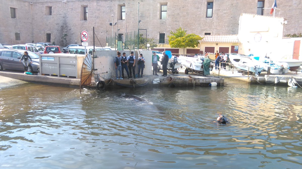 PoliceNat13's tweet photo. #Marseille #baleine baleine coincée dans une anse du port. @PoliceNat13  @MarinsPompiers objectif : libérer l'espace pour tourner le cétacé https://t.co/S2TMRB0H36