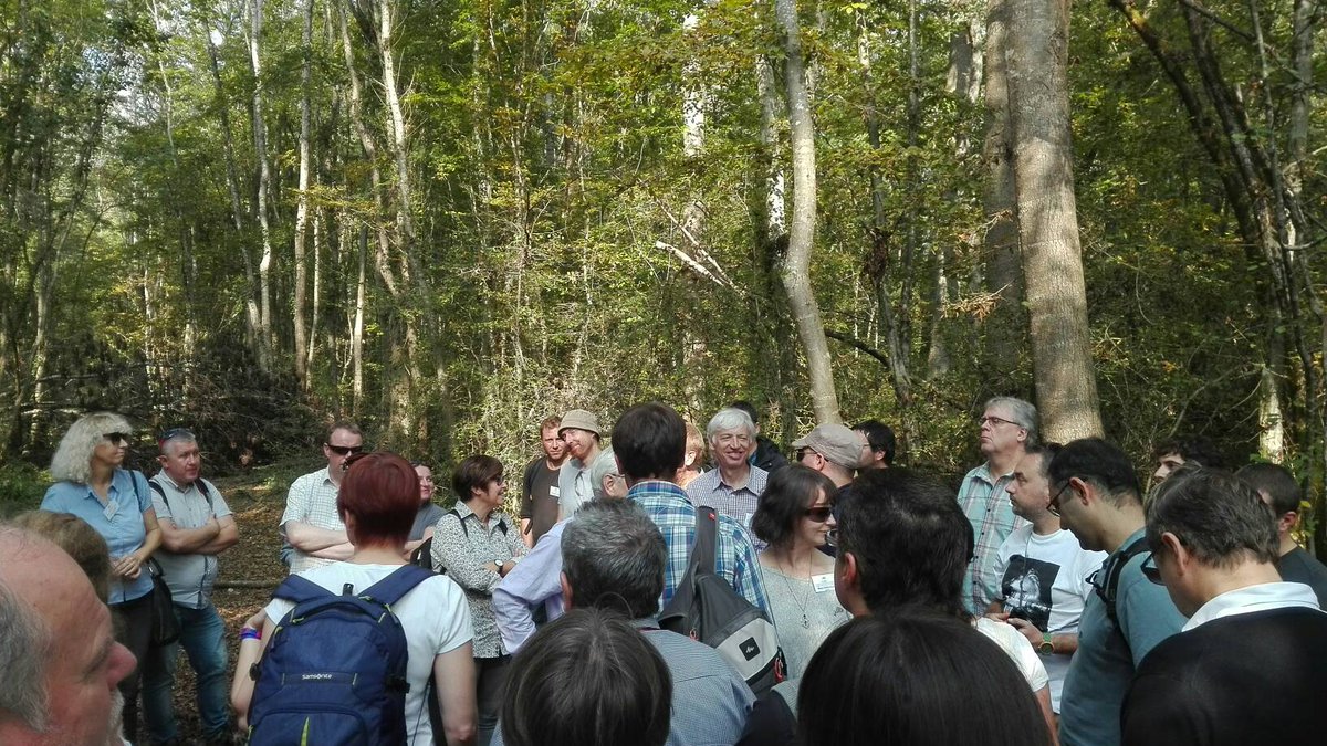 PESFOR_W's tweet photo. @PESFOR_W Discussing precipitation, water levels and forest management info the #Montonaforest

#paymentsforecosystemservices https://t.co/tz3NPGC8Ju