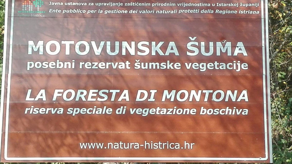 PESFOR_W's tweet photo. @PESFOR_W Discussing precipitation, water levels and forest management info the #Montonaforest

#paymentsforecosystemservices https://t.co/tz3NPGC8Ju