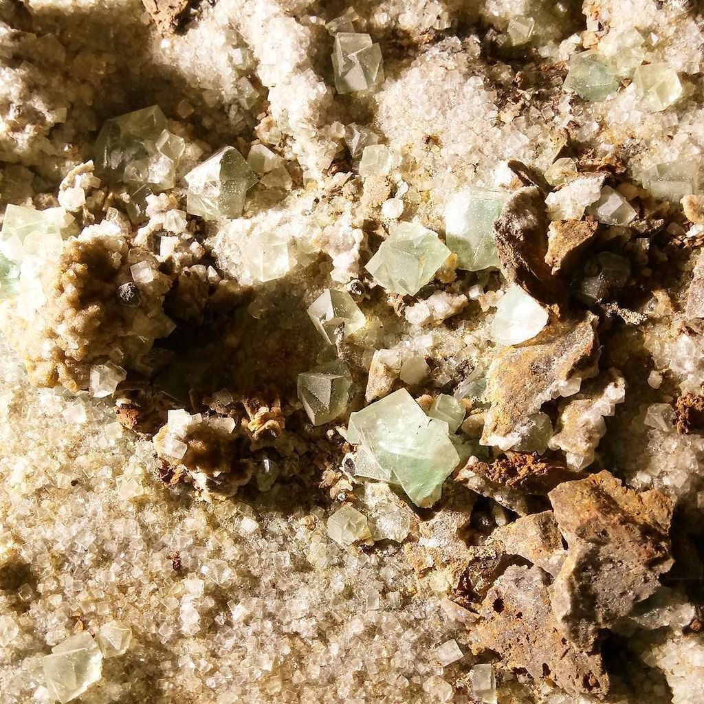 PeakMines's tweet photo. Beautiful bit of fluorspar to brighten up your Wednesday!
#MatlockBath #MatlockBathThroughTime #Gems #Crystals #De⦠https://t.co/IBT23awLX3 https://t.co/y4dVjXQFY3