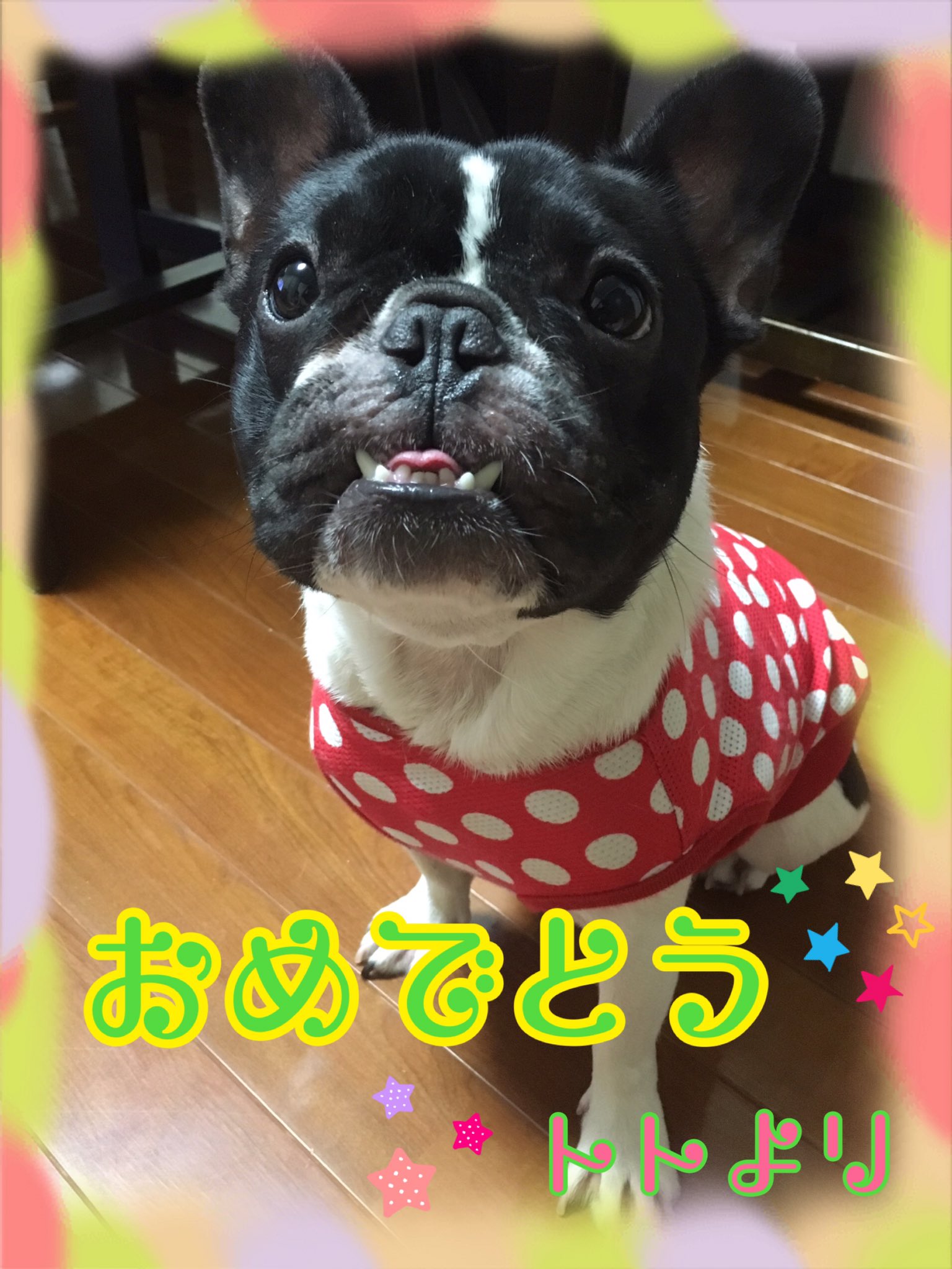 フレブルbeck Beck Twitter