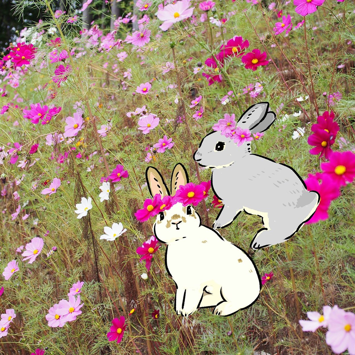 Schinako Moriyama Illustrator Pe Twitter コスモスが花かんむりみたいに咲いていました うさぎ イラスト