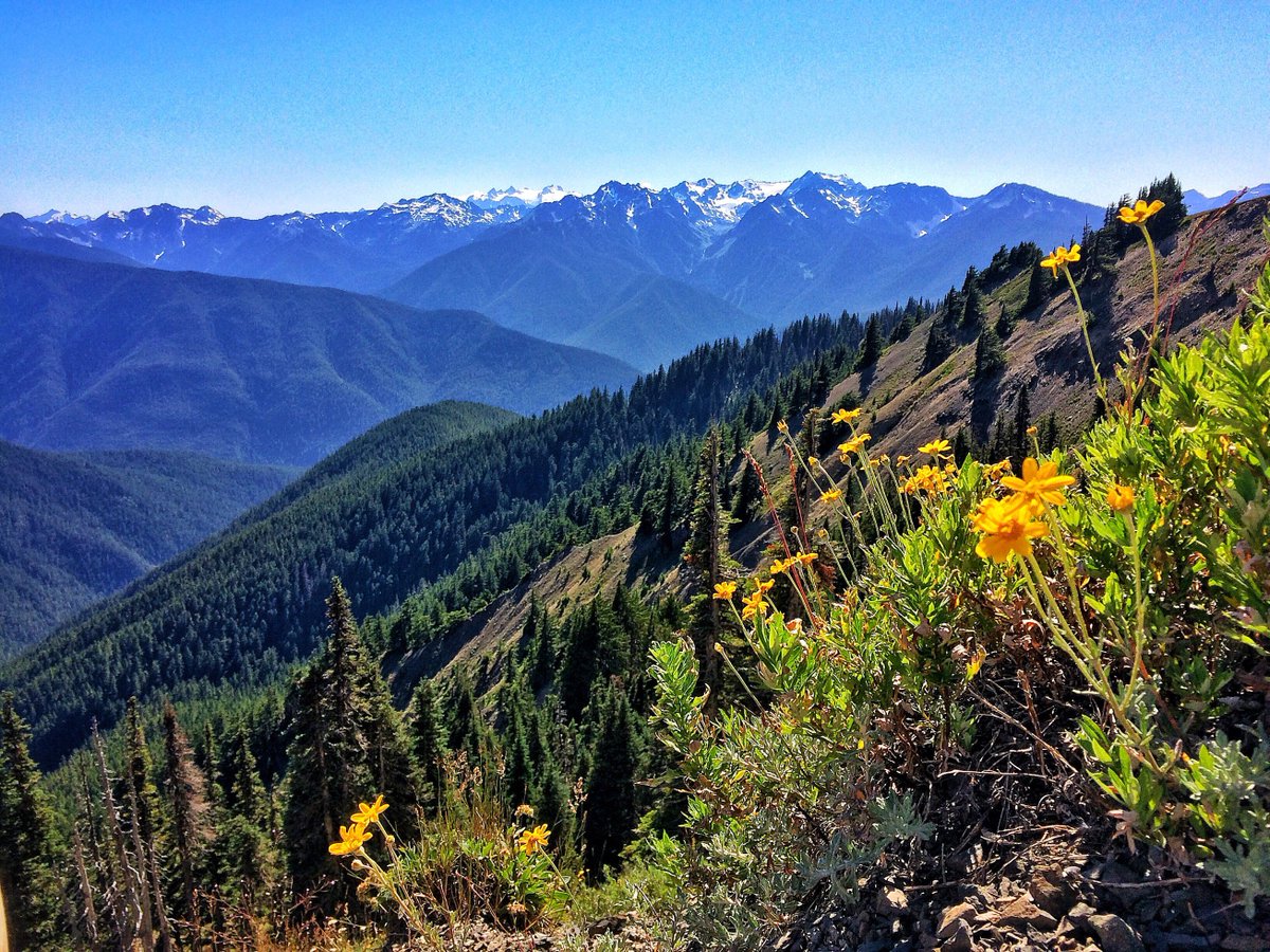 last_adventurer's tweet photo. @TheWokeJedi @59NationalParks @MissouriHowell @t_jh2009 @tthrash @RCGibby73 @Royals @MLB @onewhohikes National Parks rock. #pictureforeffect https://t.co/SxqpgRqgLi