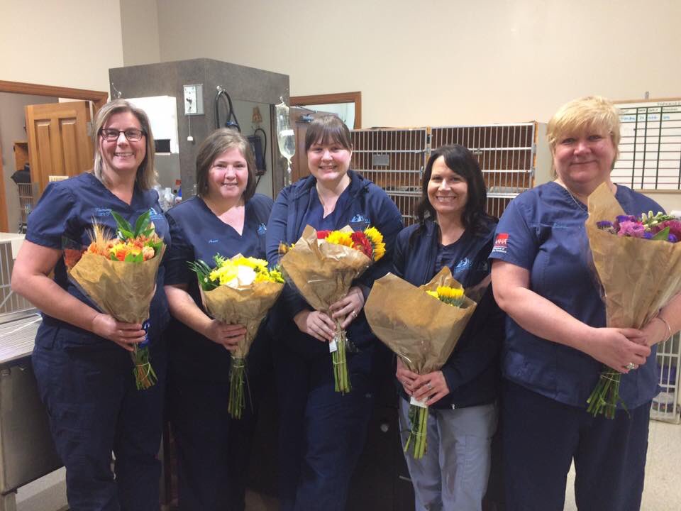 hwy24vetclinic's tweet photo. It's RVT week! We are so grateful to have the superheroes with us #rvtweek #Hwy24
#Guelph #guelphvets #veterinarytechs #ourbackbone https://t.co/bwvWp7XNrE