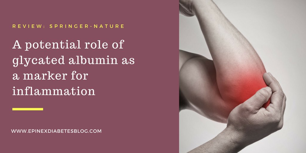 Epinex's tweet photo. A potential role of glycated albumin as a marker for #inflammation https://t.co/g53LUWNywZ https://t.co/KWQT4nszVt