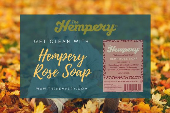 thehempery1's tweet photo. Usher in the fall with our Hempery Autumn Sale! Use code "HemperyTWTR" for 10% off your purchase today 🙌💚https://t.co/lftmIipNCm https://t.co/RUZtfW9M6Q