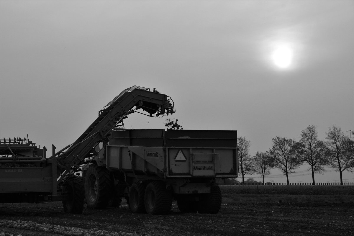wiersemapiepers's tweet photo. aardappelen wiersema heeft ook uien :) de laatsten zijn vandaag geladen! https://t.co/UxPglfJakD