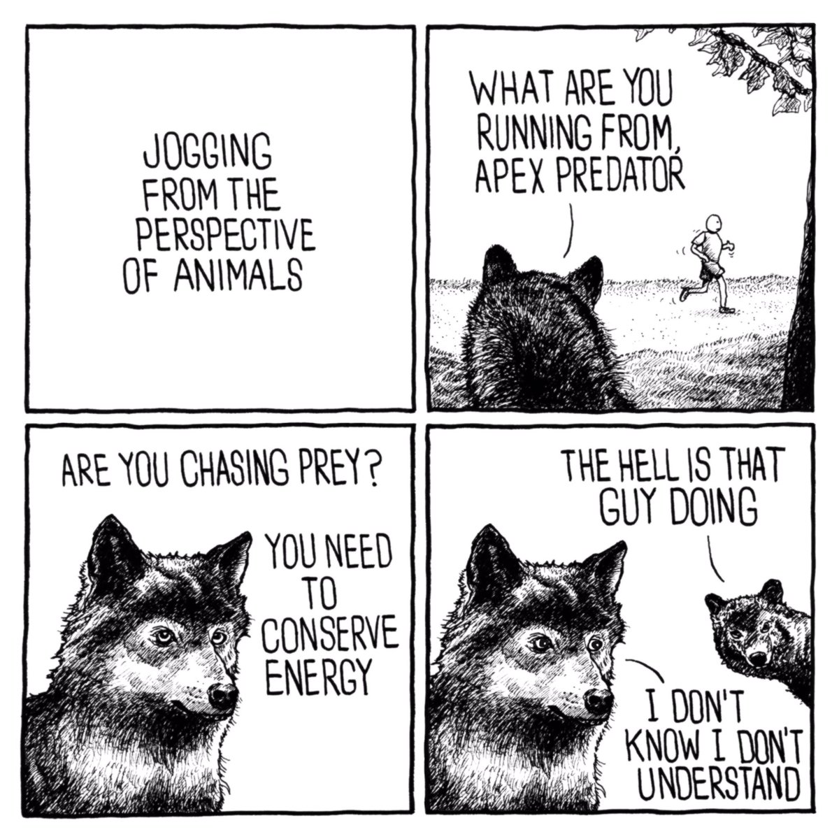 Jogging from the Perspective of Animals