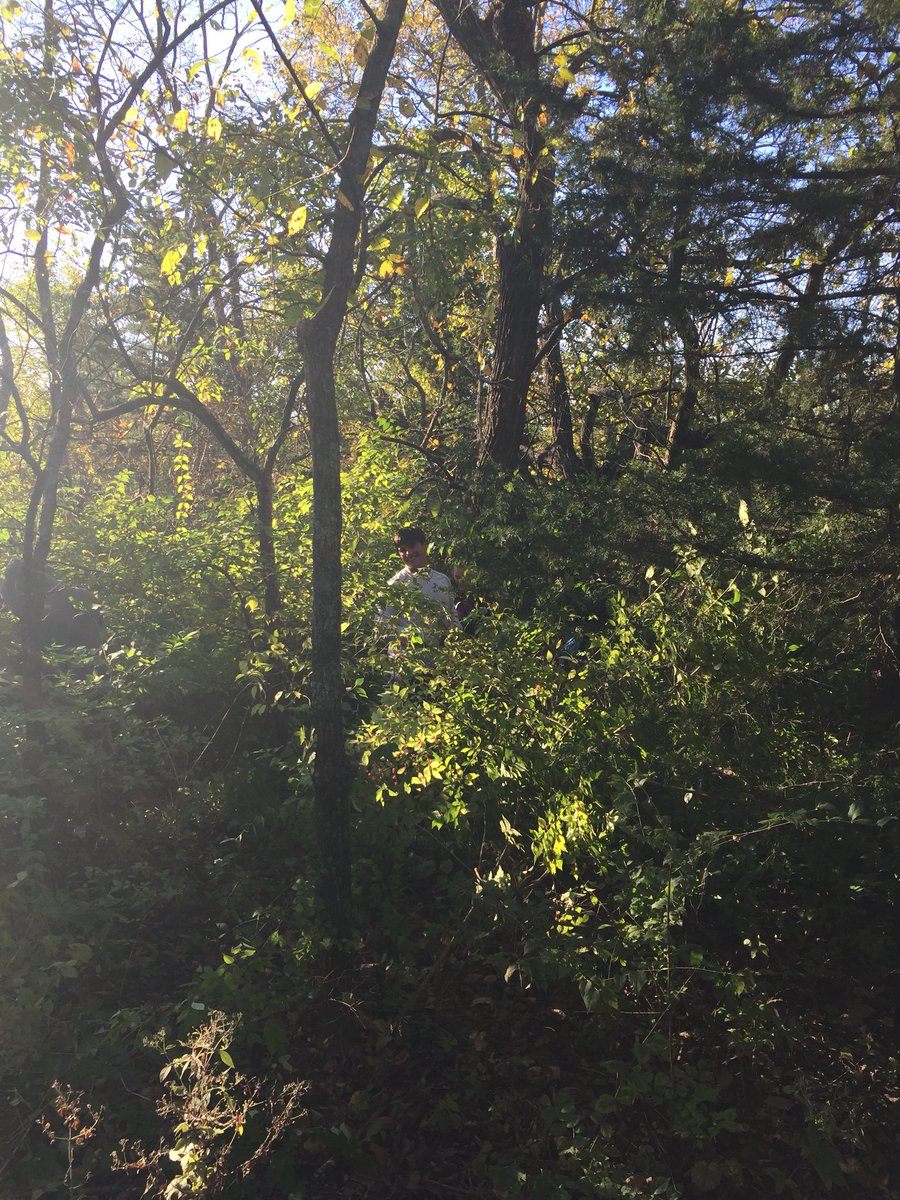 skakalscience's tweet photo. Work day at Ernie Miller removing invasive species. Great experience for students! #fieldbioadventures https://t.co/mgxxbIU15e