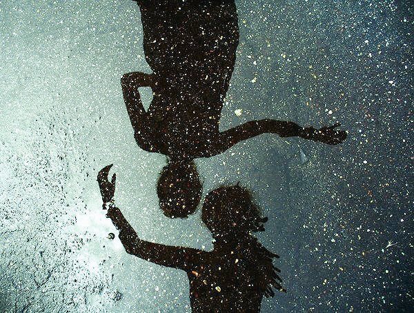 Have I found you, flightless bird?