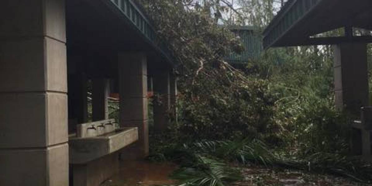 Campamento Guajataka de los Boy Scouts sufre daños tras paso de María - mundoscout.com/2017/campament…