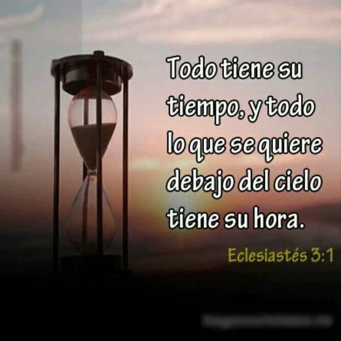 edwin_soydeCris's tweet photo. Deléitat en su #GloriaYPoder
Reconoc a; #CristoComoTuSeñorYComoTuSalvador y los cielos se moverán a tu favor,porq Dios t concederá #Gracia https://t.co/qfJQiPiixX