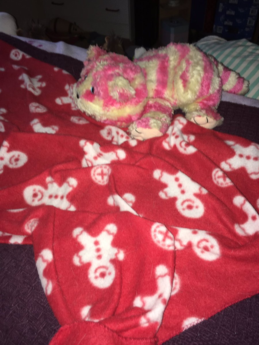 Cat_MarsEchelon's tweet photo. Meowmy finks @OfficialBagpuss took a role in comforting Echelon after she left #howdidhegetthere πΉπΉ https://t.co/Zn6usE8iWo