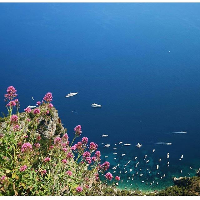 WorldToursWeb's tweet photo. A colourful sea day...

#capri #capriisland #caprilife #islandofcapri https://t.co/RK0Tw1KqvJ
