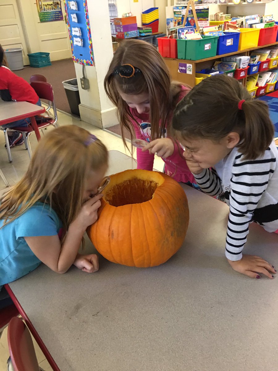 1VORoom201's tweet photo. Pumpkin investigations in 1VO #octoberstem #firstgradescience @CommunityComets https://t.co/w5VC6VasqY