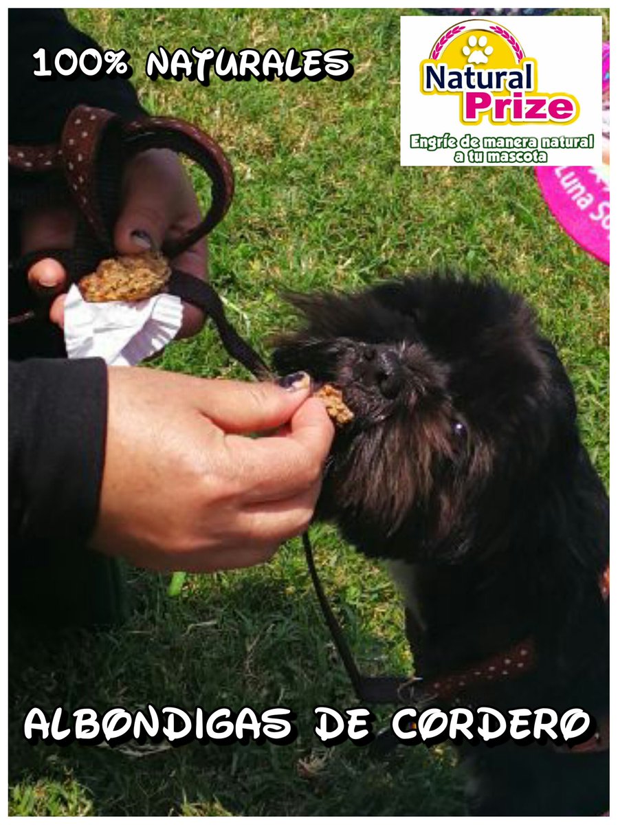 Natural_Prize's tweet photo. @Natural_Prize π #Snacks #galletasparaperros #SnacksPremium #YoAmoAMiMascota https://t.co/sn8YpJKvwk