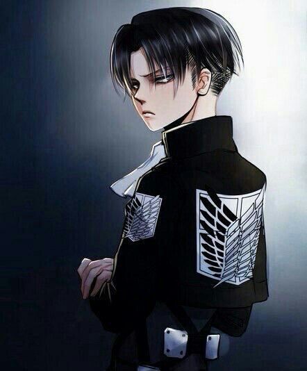 foxy_alexia's tweet photo. Levi 😍😍😍 Como eu amo esse pessoa kskskj https://t.co/rsW358DfEu