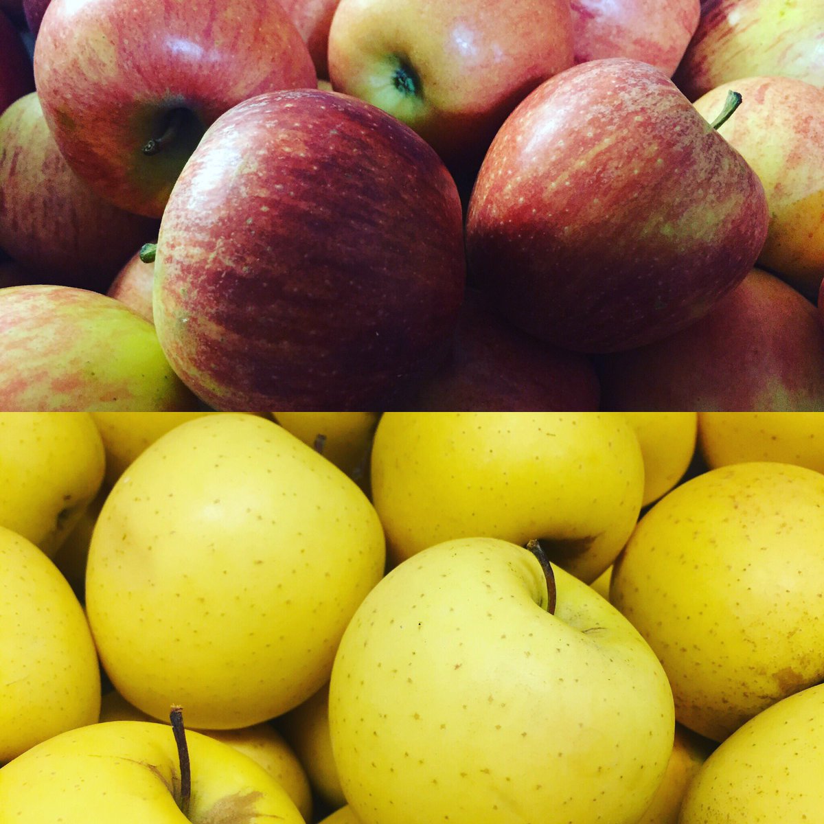 LPdeProvence's tweet photo. Idéale pour les enfants et les petits faim, profitez de nos petites pommes Golden et Gala 🍎sur votre site https://t.co/MFpa7pC0yw https://t.co/tRiJXqeP7t