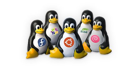 TeamViewer's tweet image. Linux comes in various flavors. Which one you prefer? Learn how to install TeamViewer on your #LinuxDistribution bit.ly/2ySZrlw