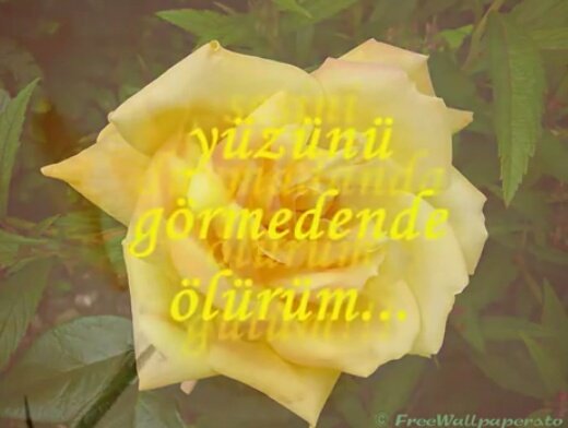 hicransab's tweet photo. 💧💧💧
Çırpınıyor kafesteki kuş misali
Özgürlüğü arıyor yüreğim
Yinede tutsak kalmak haz veriyor
Sinemdeki mahzende
💧💧💧 https://t.co/qzsfWvL18x