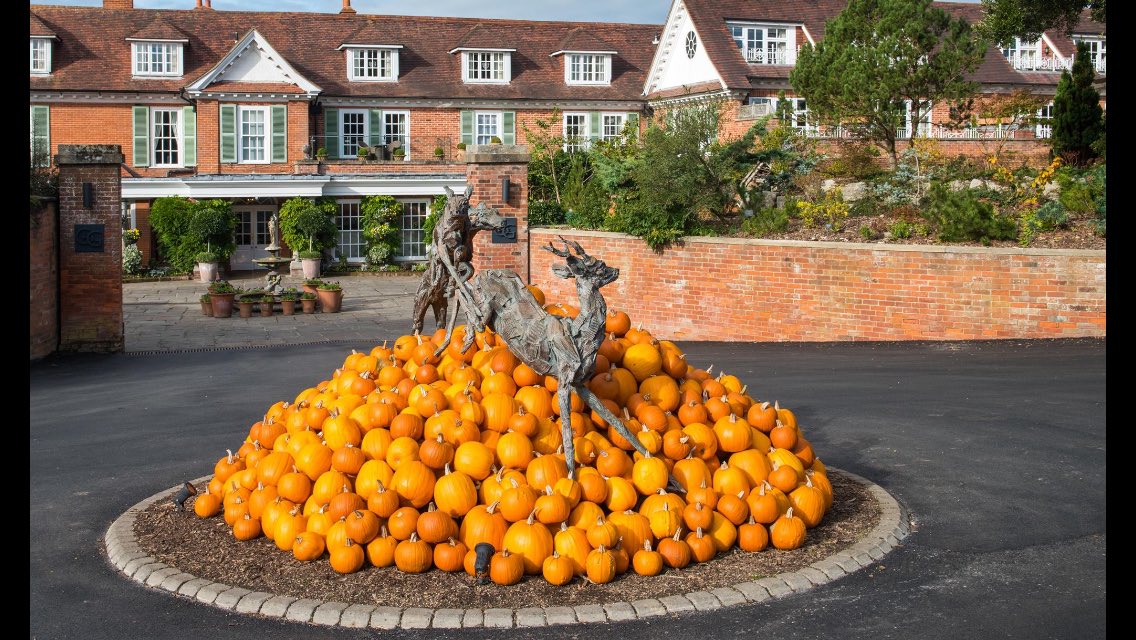 DarrenVenables's tweet photo. Who said Less is More, #Halloween #pumpkin displays @chewtonglen @gardentags @Mark_A_Bevan @The_RHS @RelaisChateaux @HampshireFare @GoStembo https://t.co/EuDuV6DS7D