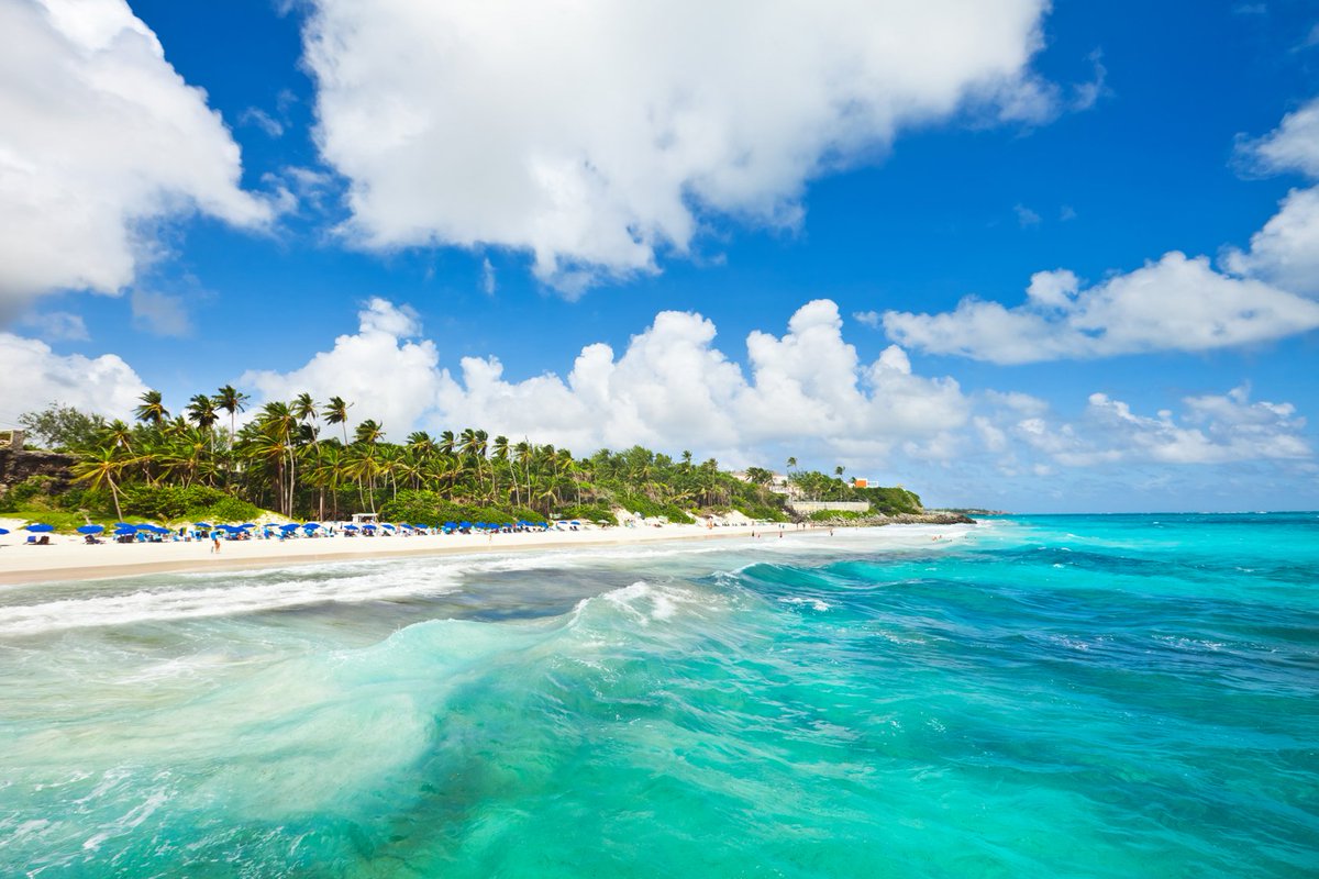 VisiteBarbados's tweet photo. Quando o mar azul entra em sintonia com o cenário barbadiano 🌊🏝️
#IssoéBarbados 🇧🇧️ https://t.co/dciKZgeXhI