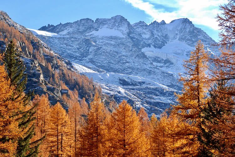 dcq_italia's tweet image. The #GranParadiso national park in #Piemonte and #ValleDaosta regions provides for some of the best #FOLIAGE sceneries in #Europe. #Autumn