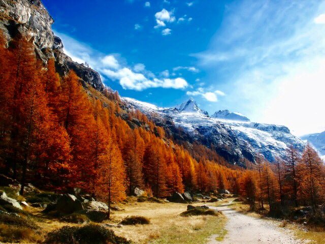 dcq_italia's tweet image. The #GranParadiso national park in #Piemonte and #ValleDaosta regions provides for some of the best #FOLIAGE sceneries in #Europe. #Autumn