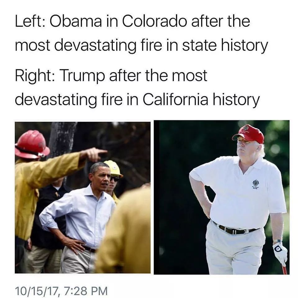 WaywardToadSage's tweet photo. #NeverMyPresident #AssholeInChief #DraftDodgerInChief  #ImpeachTrumpPenceNow #Resist #WaywardSageWednesday https://t.co/z9Pyi49ndi