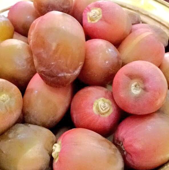 سبهان السبهان ١٧٢٧م 🇸🇦 tweet media