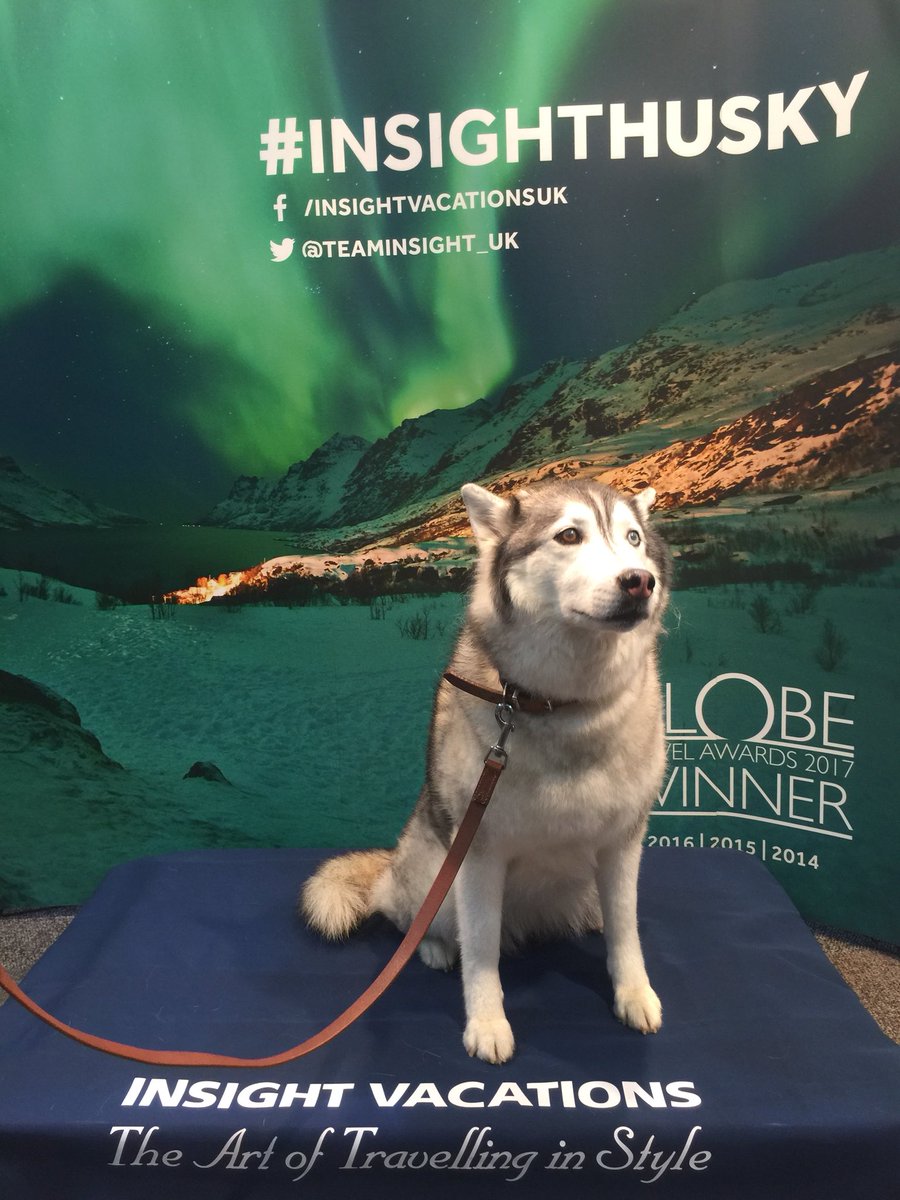 Paul_Melinis's tweet photo. The real Scandinavian experience bought to life her at the @ATAS_travel event in Birmingham #InsightHusky https://t.co/jzIqD4WTi8