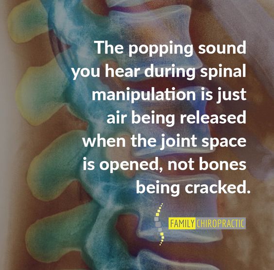 HOH_Chiro's tweet photo. A friendly reminder :) #handsonhealth #adjustment #spinalhealth #nervoussystem #chiropractic #chiro https://t.co/9Rej7sOcBL
