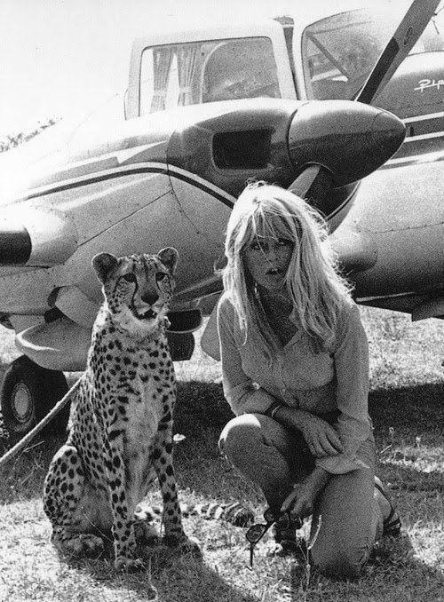 ZoeGP2's tweet photo. Bardot with a friend, 60s.
#blackandwhite #photography #blackandwhitephotography https://t.co/Ymdkf4gr3m