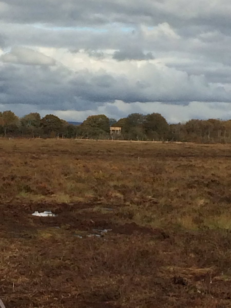 carrocklands's tweet photo. Campfield Reserve @RSPB_N_England ands Glasson Moss @NECumbria looking at @HLFNorthWest funded @SolwayWetlands Landscapes Partnership https://t.co/wtde1bBh4K