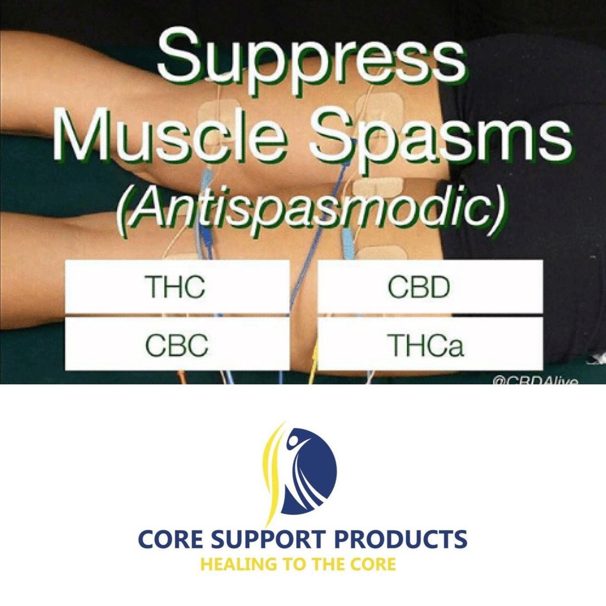 healing2thecore's tweet photo. CBD oil is known to have #antispasmodic properties. #cbdoil #postworkout #helpspasms #allnatural #coresupportproducts https://t.co/kFaM3bEHVT