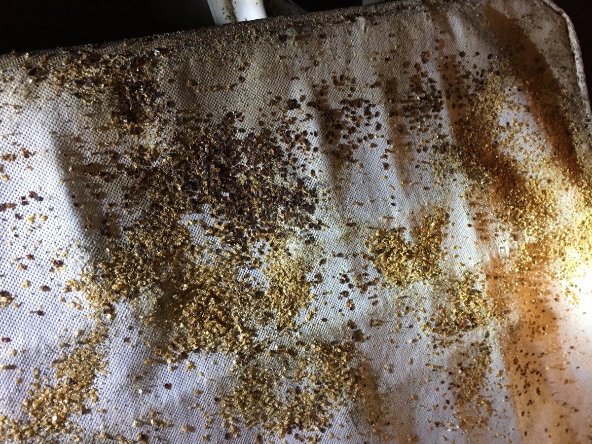 WalkerPestMgmt's tweet photo. #WednesdayWisdom be careful where you stay on vacation. Research for bed bug activity before you book. #BedBugsSuck https://t.co/S1uDIbh9LZ https://t.co/tLz6vd6Vhq