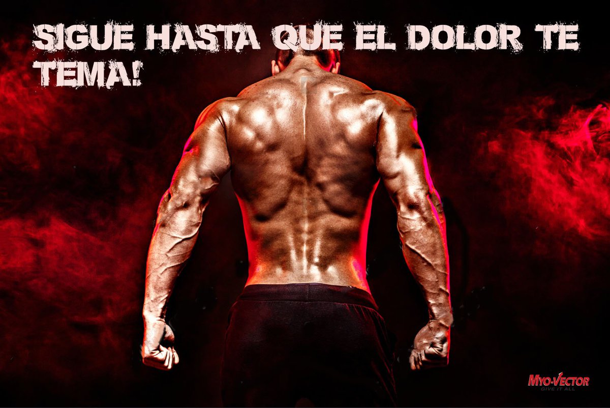myovector's tweet photo. ¡¡El Éxito no es una opción... es una obligación!! 😎Excelente Miércoles 🤛
#MyoVector #GiveItAll https://t.co/Si0XCR4r1w