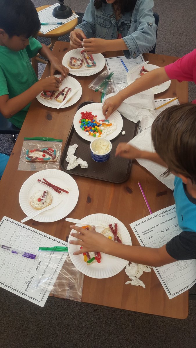 MrsDJKitchen's tweet photo. Edible plant &amp; animal cells. Thank you @YoungEducated2 for the TpT. @SchroederWSD  #Science #Mrskitchenscholarlounge https://t.co/canY0fcbmH