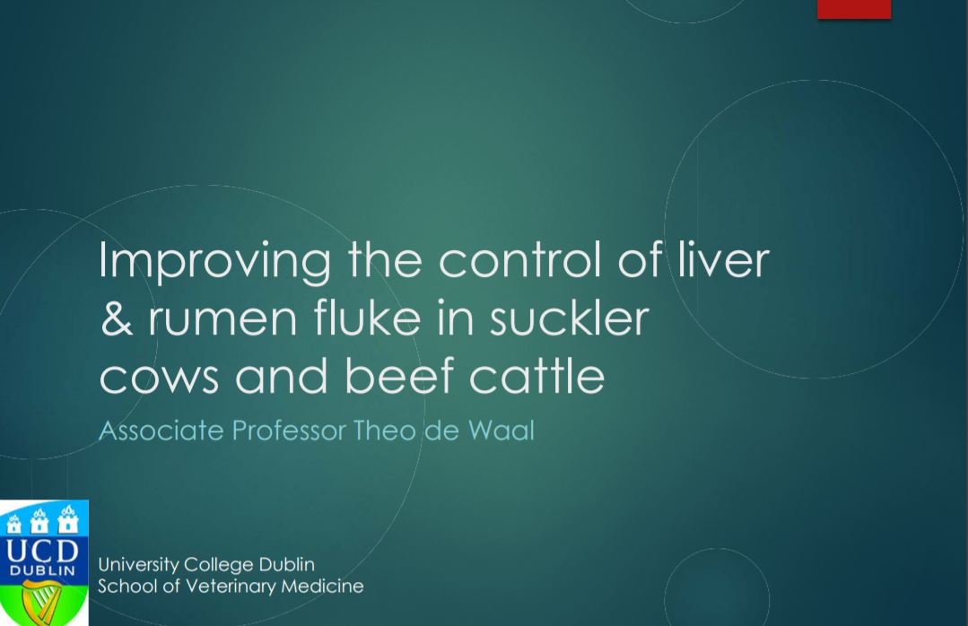 teagasc's tweet photo. Dr Theo de Waal @ucddublin gave an excellent presentation at the #BeefConf17 on liver &amp; rumen fluke. View it here https://t.co/jhIwbpBh35 https://t.co/oE8TS5f6hN