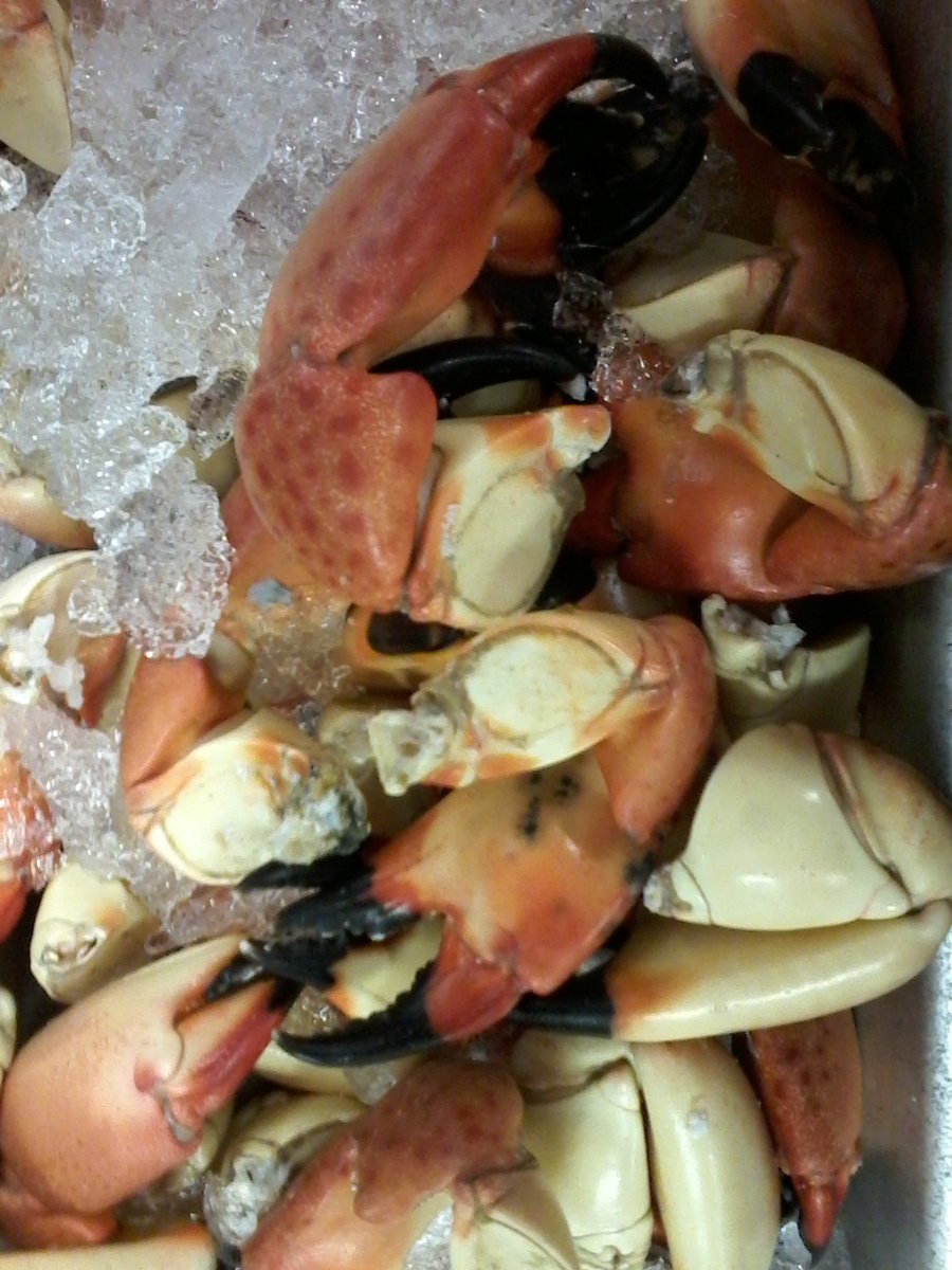 wardsseafood's tweet photo. Stone Crabs are waiting for you all to come in and get them https://t.co/DyLRCNuqRZ
