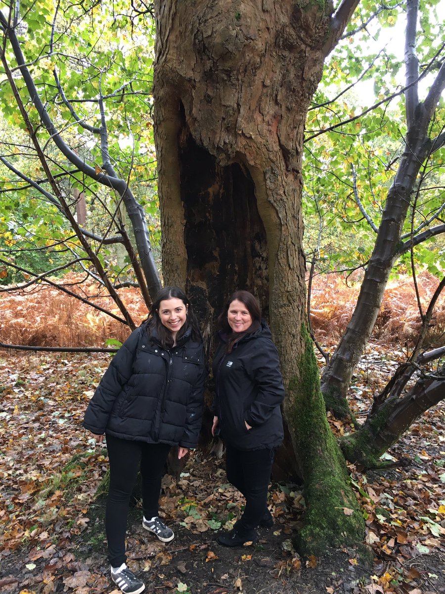 MichelleG3D's tweet photo. The good outdoors exploring sites we will be using very soon @YvonneH3D  @LoisWeir3D @3DDrumchapel 
#outdoor #garscaddenwoods #3ddrumchapel https://t.co/DKvW5pjKlI